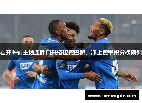 霍芬海姆主场连胜门兴格拉德巴赫，冲上德甲积分榜前列
