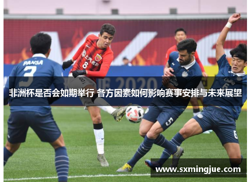 非洲杯是否会如期举行 各方因素如何影响赛事安排与未来展望