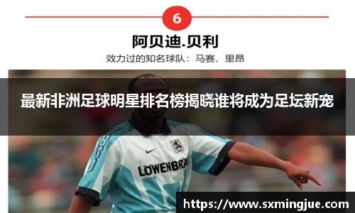 最新非洲足球明星排名榜揭晓谁将成为足坛新宠